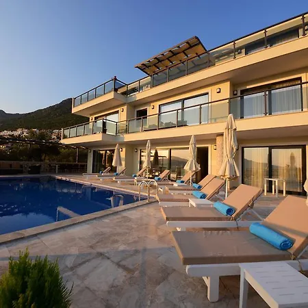 Kral * Kalkan