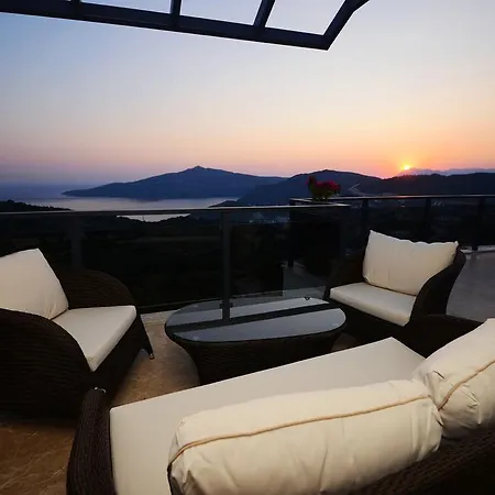 Kral * Kalkan