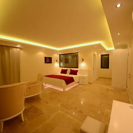 Kral Villa